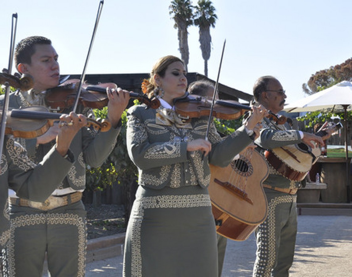 MAVA 6th Annual Harvest Festival!