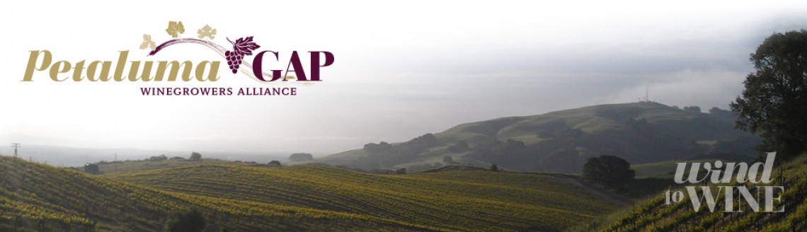 Petaluma Gap 2016 WIND to WINE FESTIVAL