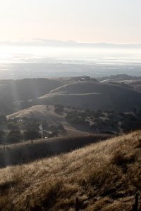 Big Dog Vineyard