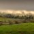 Navarro Vineyards