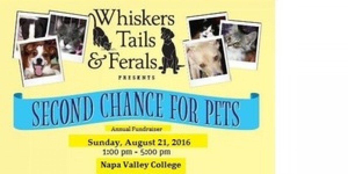 Whiskers, Tails and Ferals Second Chance for Pets Fundraiser