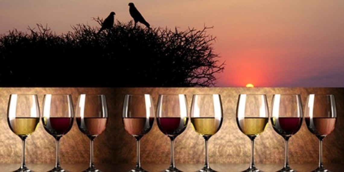 Enlightened Vineyards™ Sunset Reception & Dinner for Save a Billion Birds!™