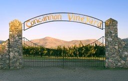 Concannon Vineyard